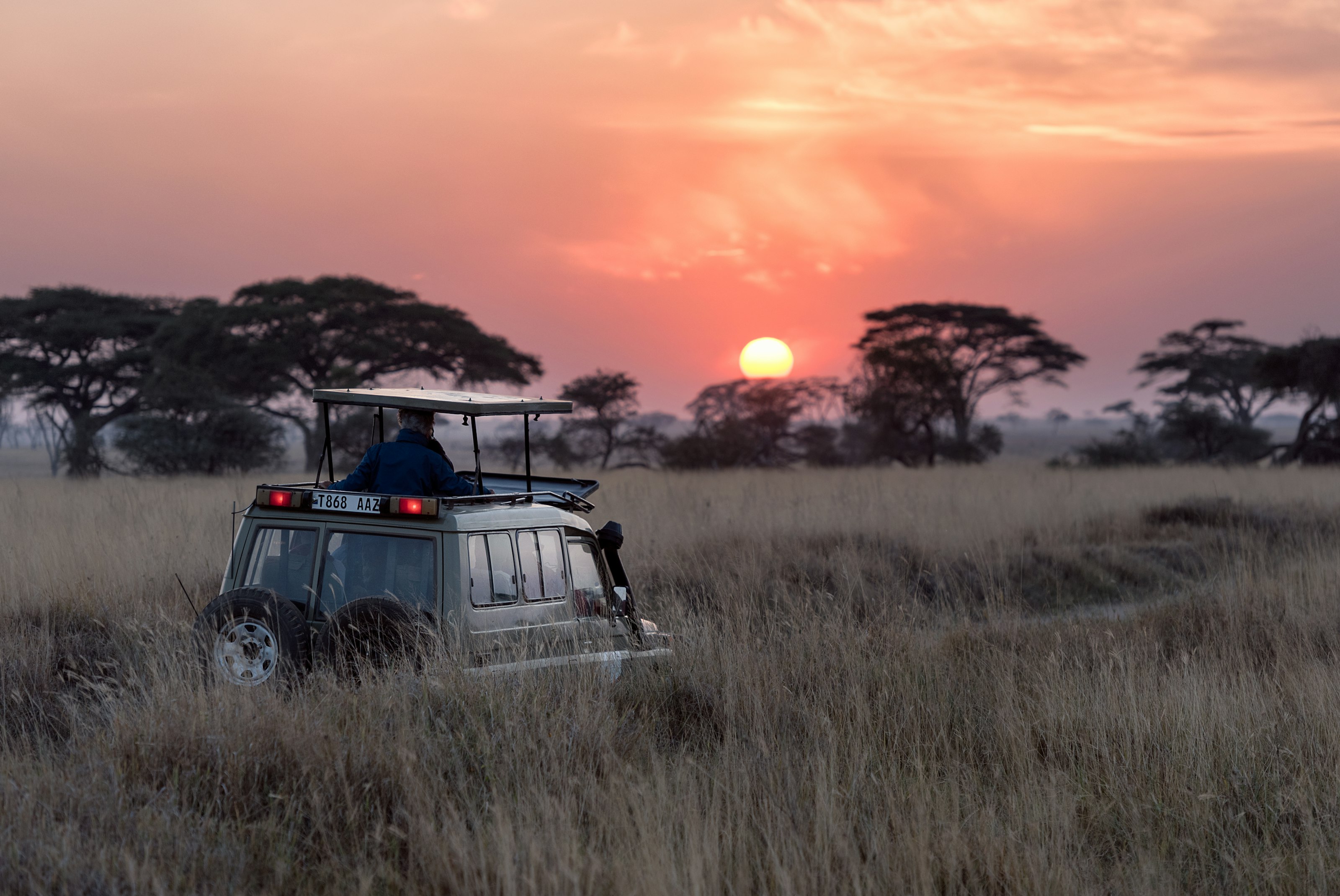 A safari vehicle parked in tall grass as the sun sets behind acacia trees