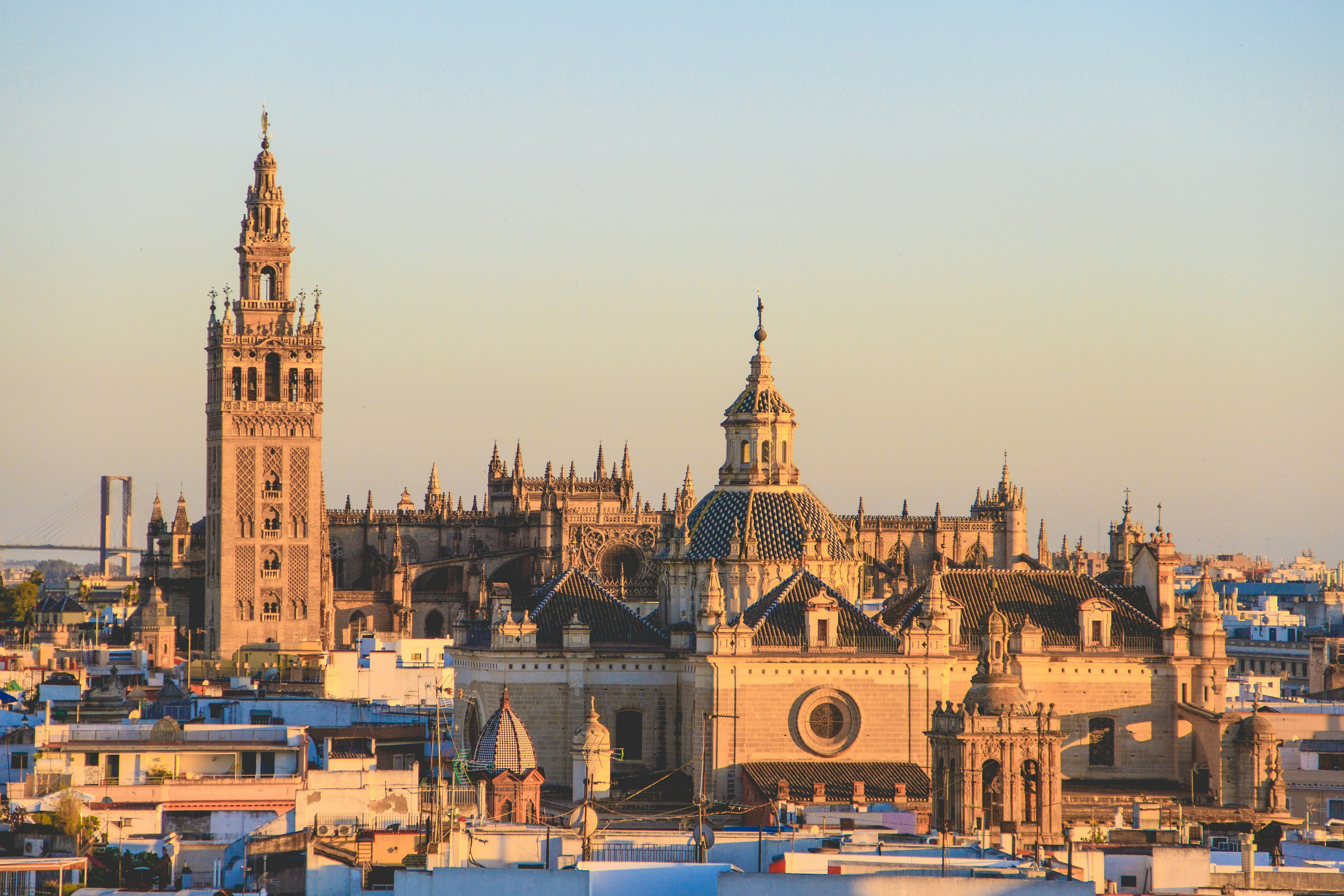 Seville Cathedral and the Giralda bell tower rising above the city rooftops