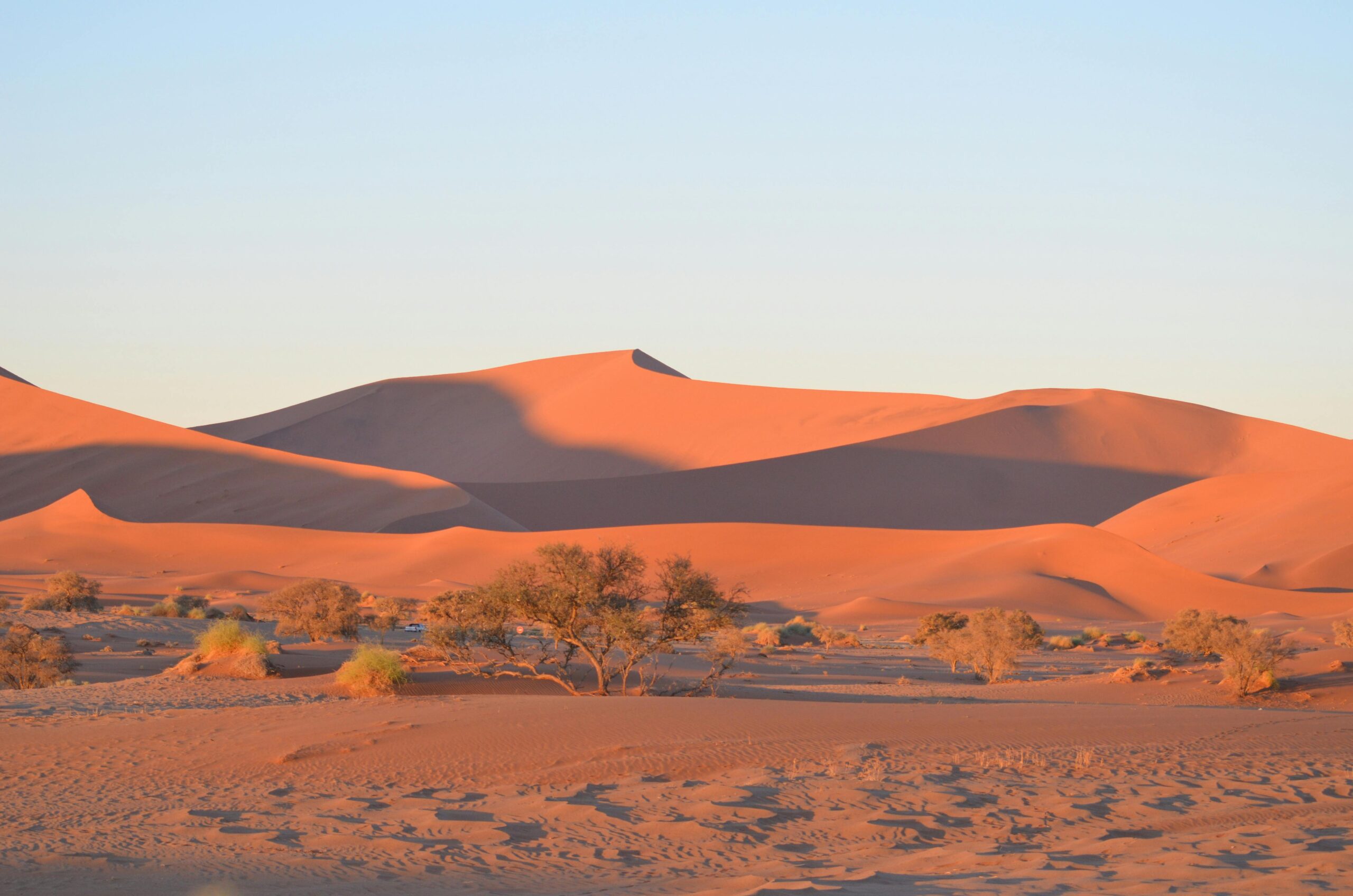 desert dunes