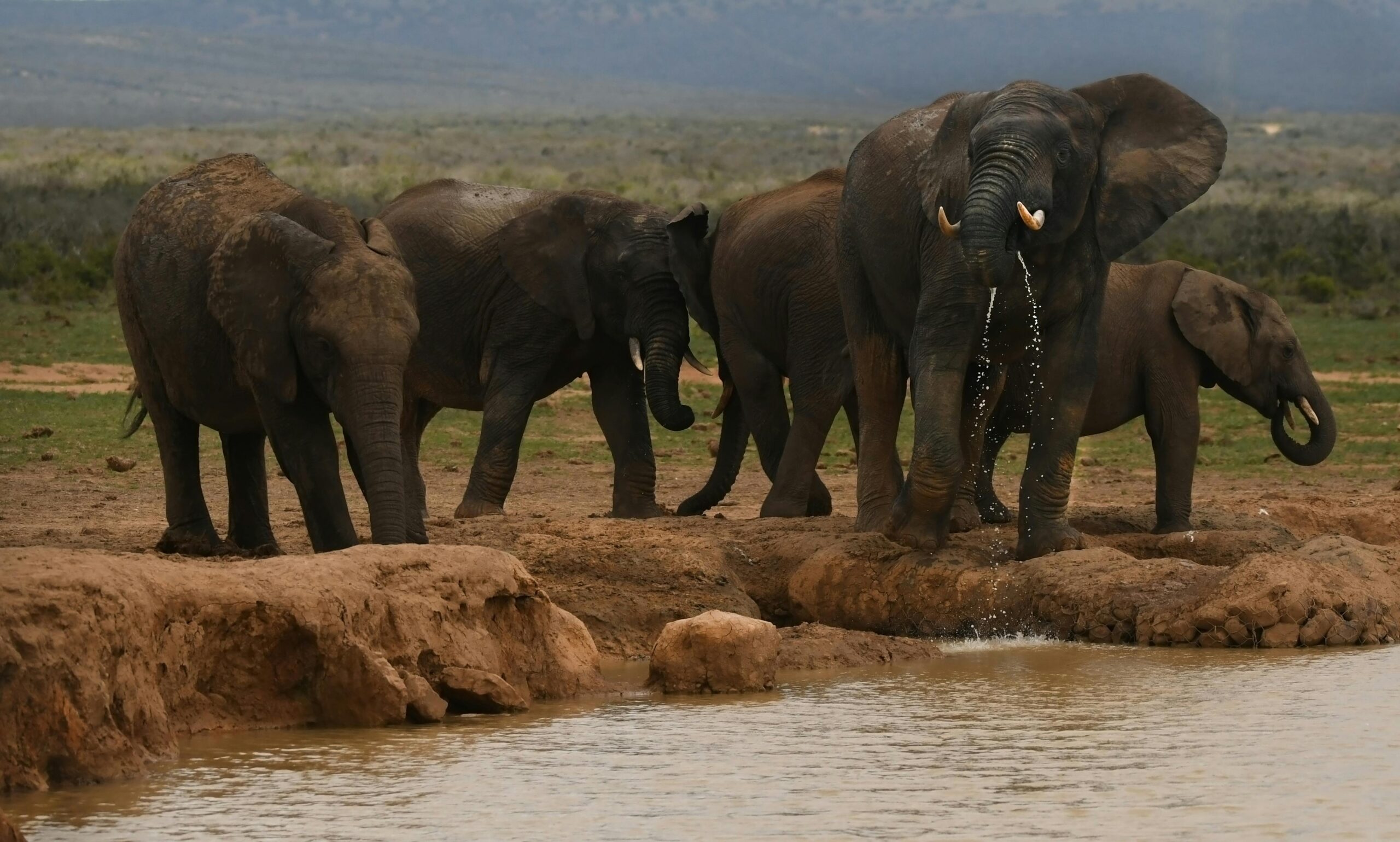 etosha national park