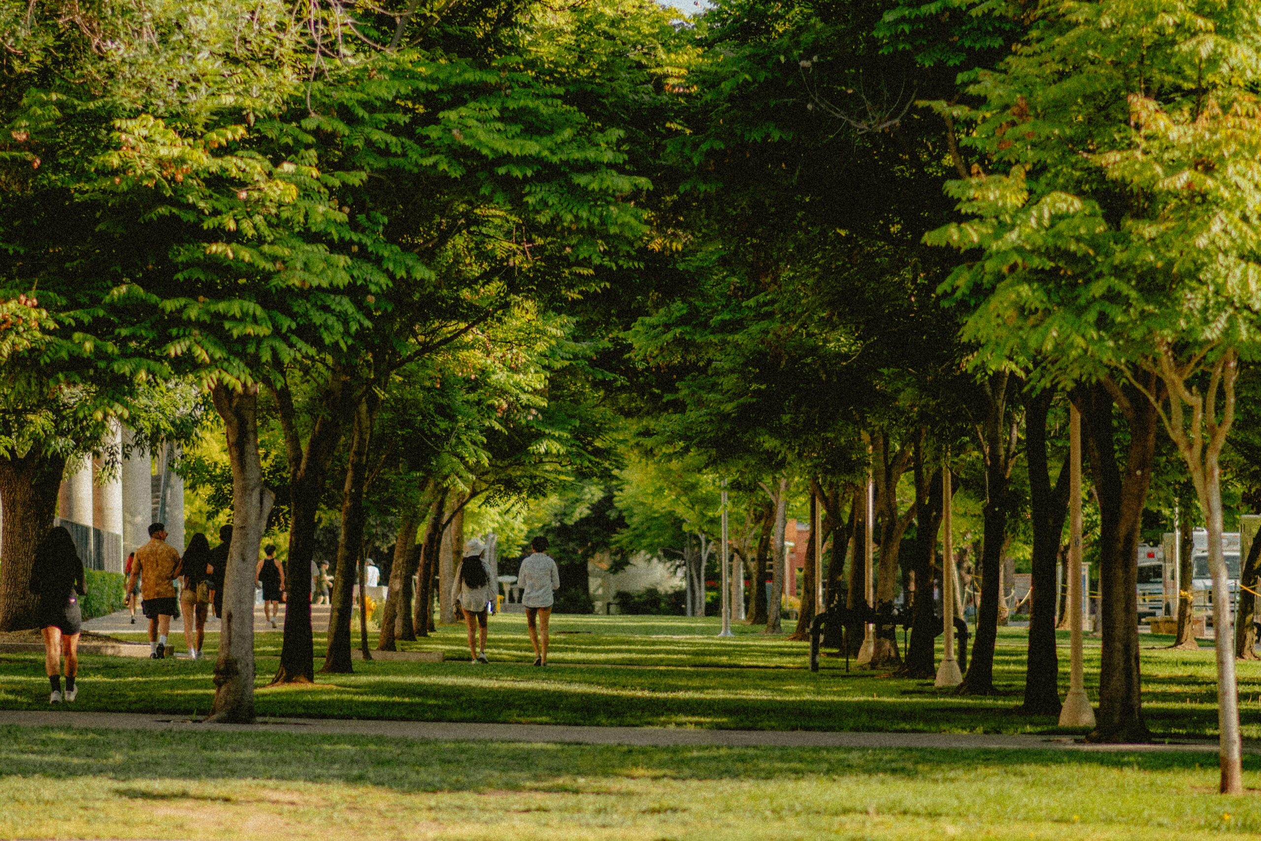 practice nature culture