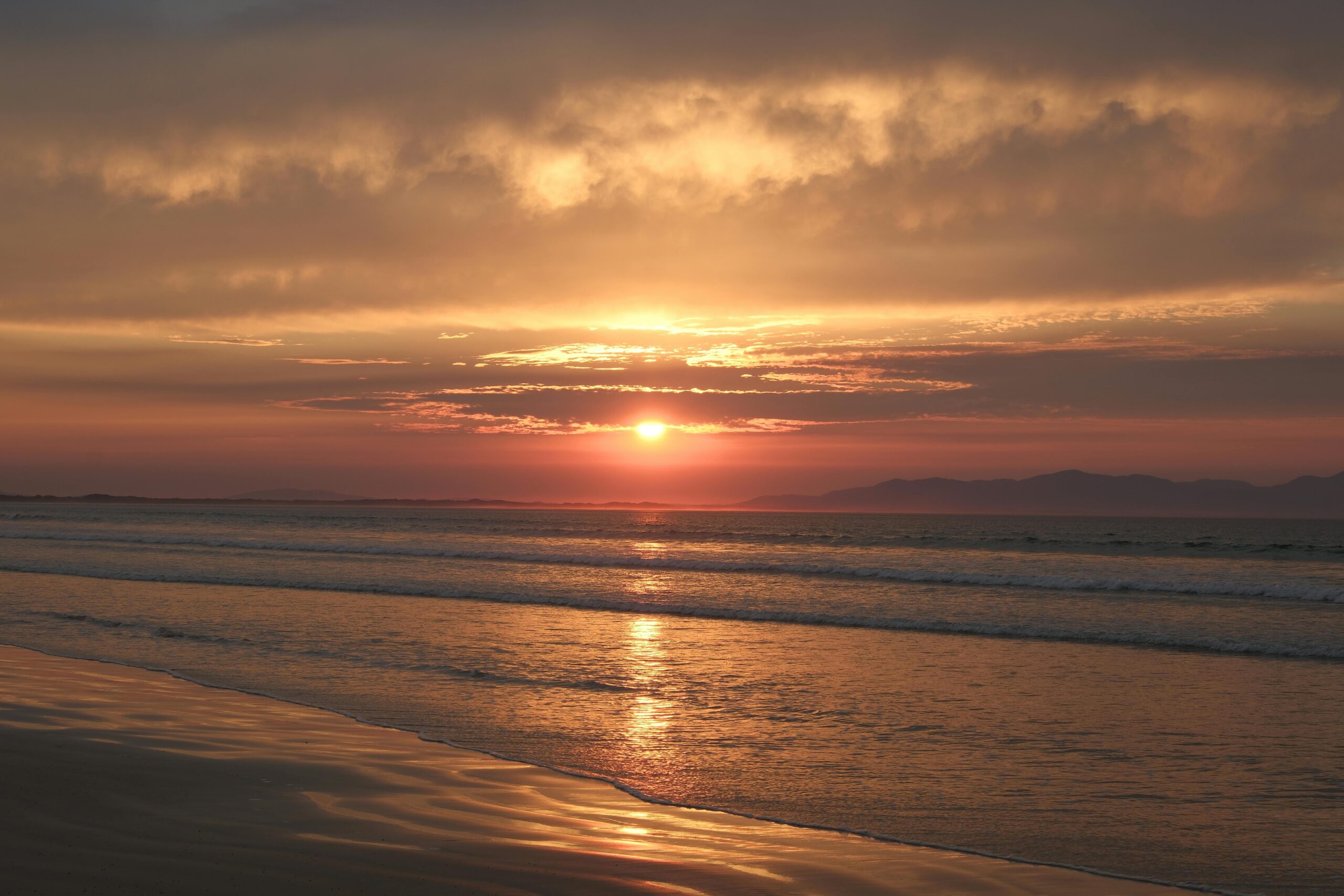 pulse of tamarindo