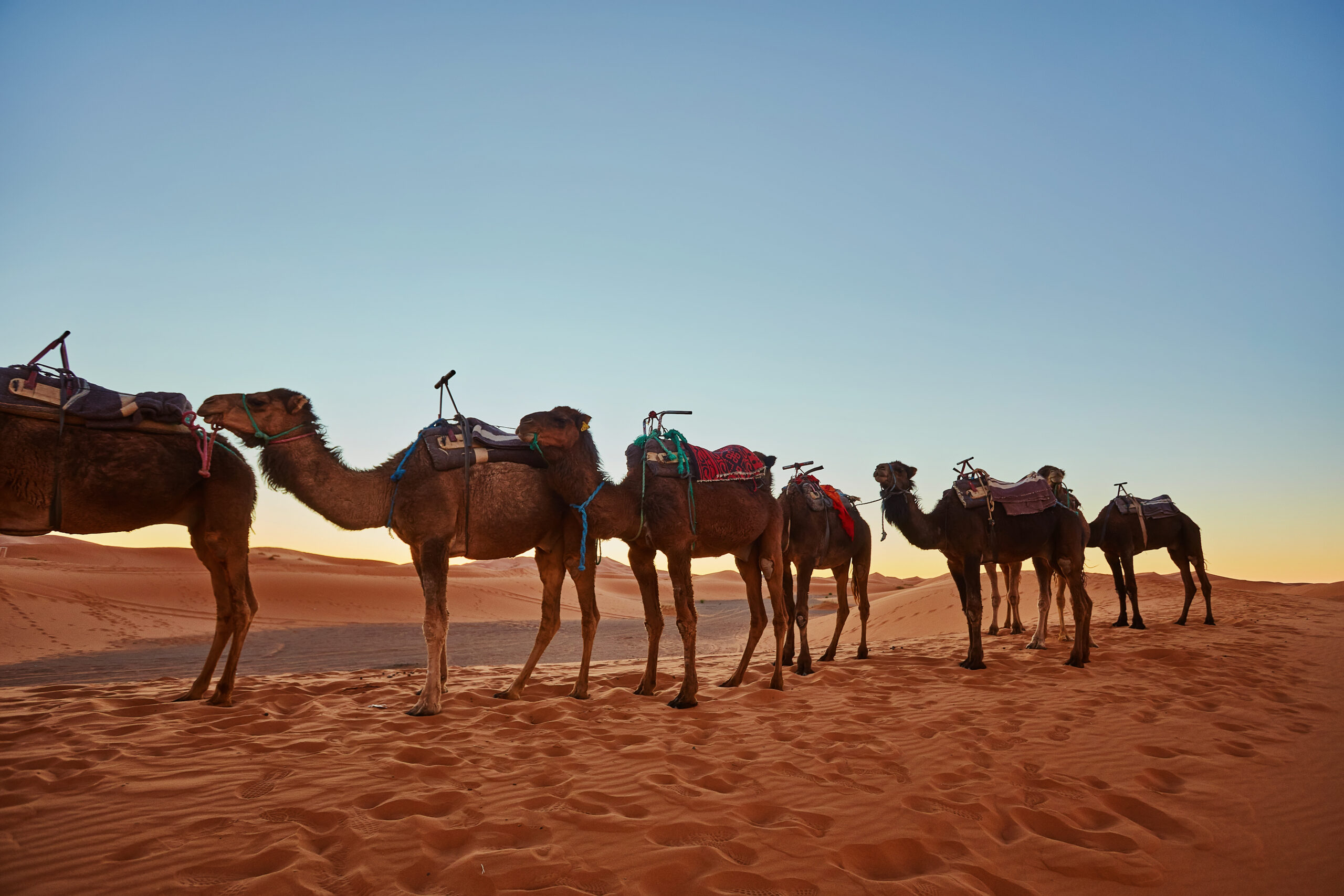 return marrakech