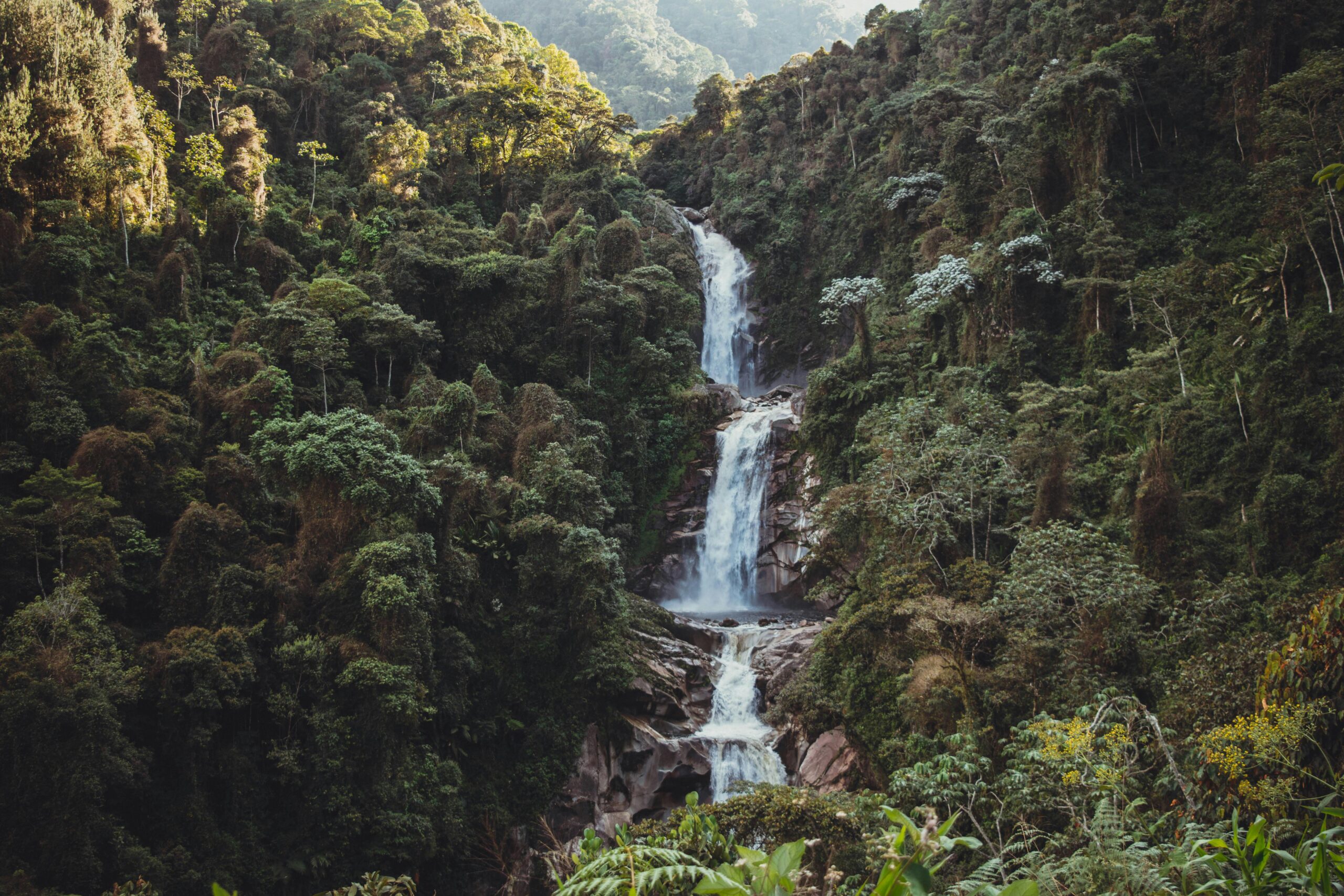 water wonders