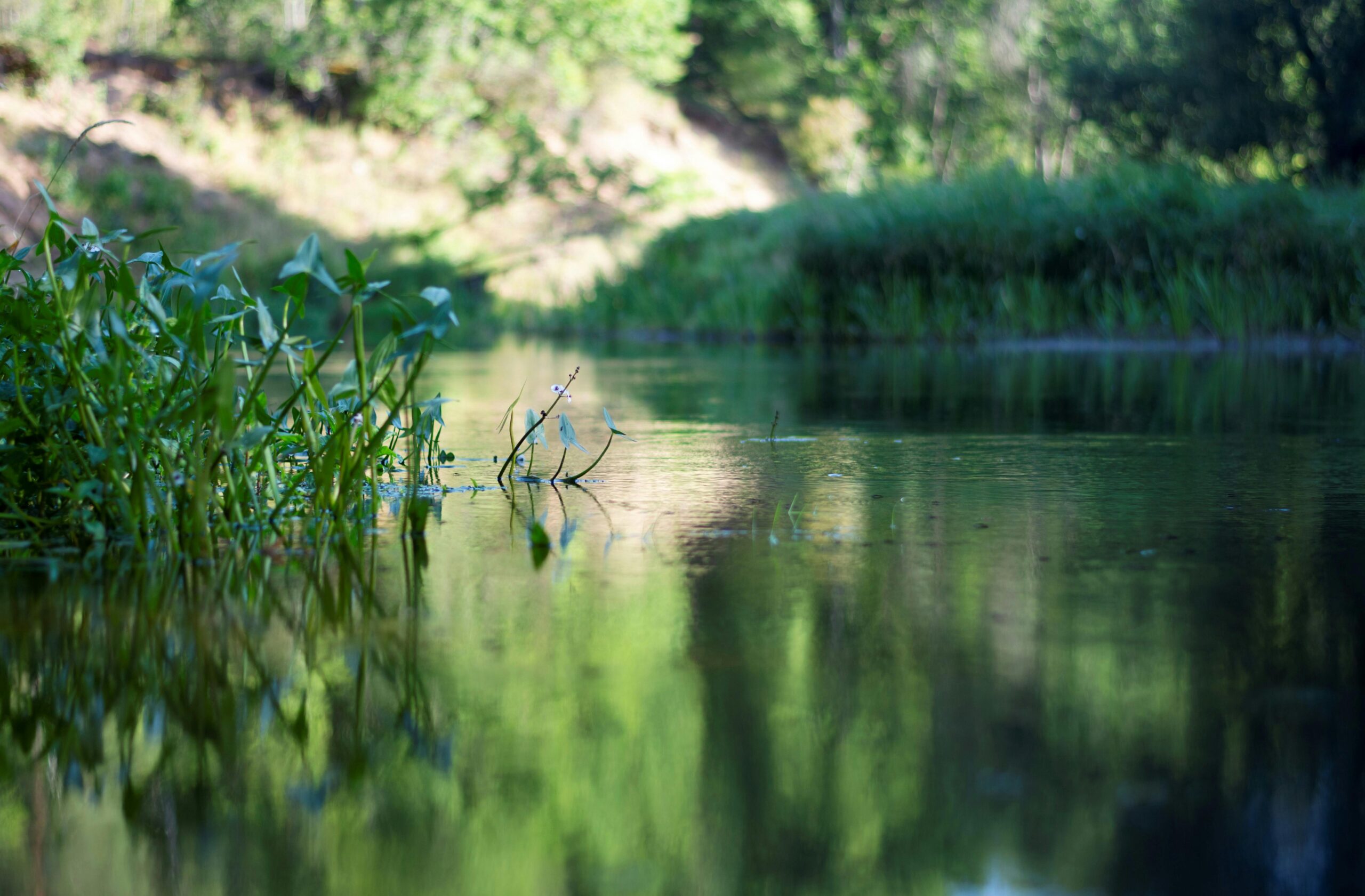 waters of serenity